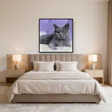 British Shorthair aux Yeux Ambre sur Fond Mauve – Chambre