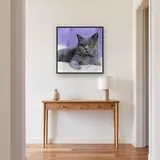 British Shorthair aux Yeux Ambre sur Fond Mauve – Entrée