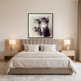 Duo de Chatons aux Yeux de Saphir – Chambre