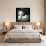 Félin aux Yeux d'Étoiles – Chambre