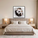 Chaton Tricolore Endormi sur Couverture Douce – Chambre