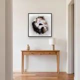 Chaton Tricolore Endormi sur Couverture Douce – Entrée