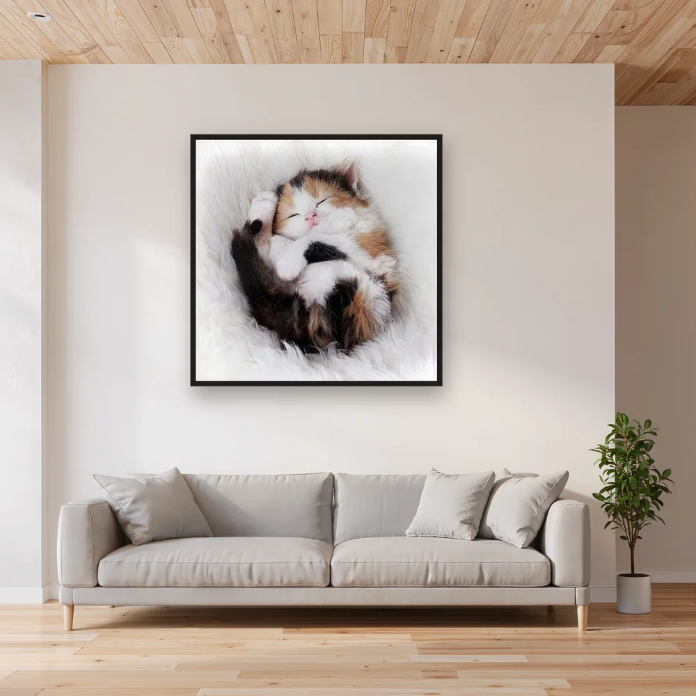 Chaton Tricolore Endormi sur Couverture Douce – Salon