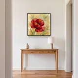 Rote Mohnblüte mit Morgentau – Flur