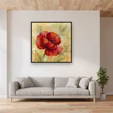 Rote Mohnblüte mit Morgentau – im Wohnzimmer
