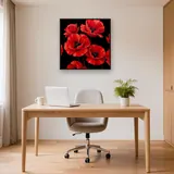 Coquelicots rouges éclatants sur fond noir – Bureau