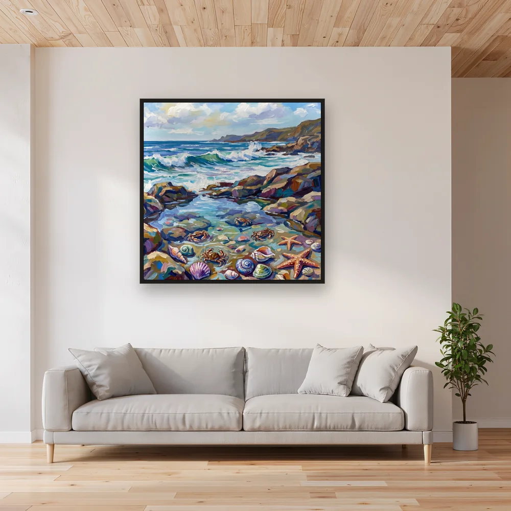 Bassin de marée aux crabes et étoiles de mer – Salon