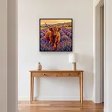 Vache des Highlands dans un champ de lavande doré – Entrée