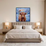 Mucca delle Highlands con pettirosso su corno ghiacciato – Camera