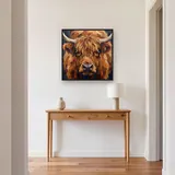 Portrait gros plan vache Highland aux yeux doux – Entrée