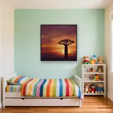 Baobab solitaire au coucher du soleil – Enfant