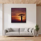 Baobab solitaire au coucher du soleil – mis en situation dans un salon