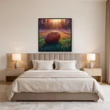 Ballon de rugby à l'aube – Chambre