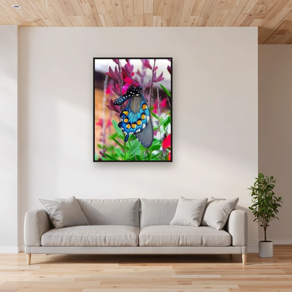 Pittura a diamante Farfalla: il fulgore dei saggi – Soggiorno