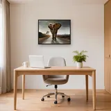 Elephant on the Road to the Sun – Office