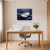 Great White Shark – Office