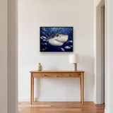 Great White Shark – Hallway