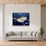 Great White Shark – Living room