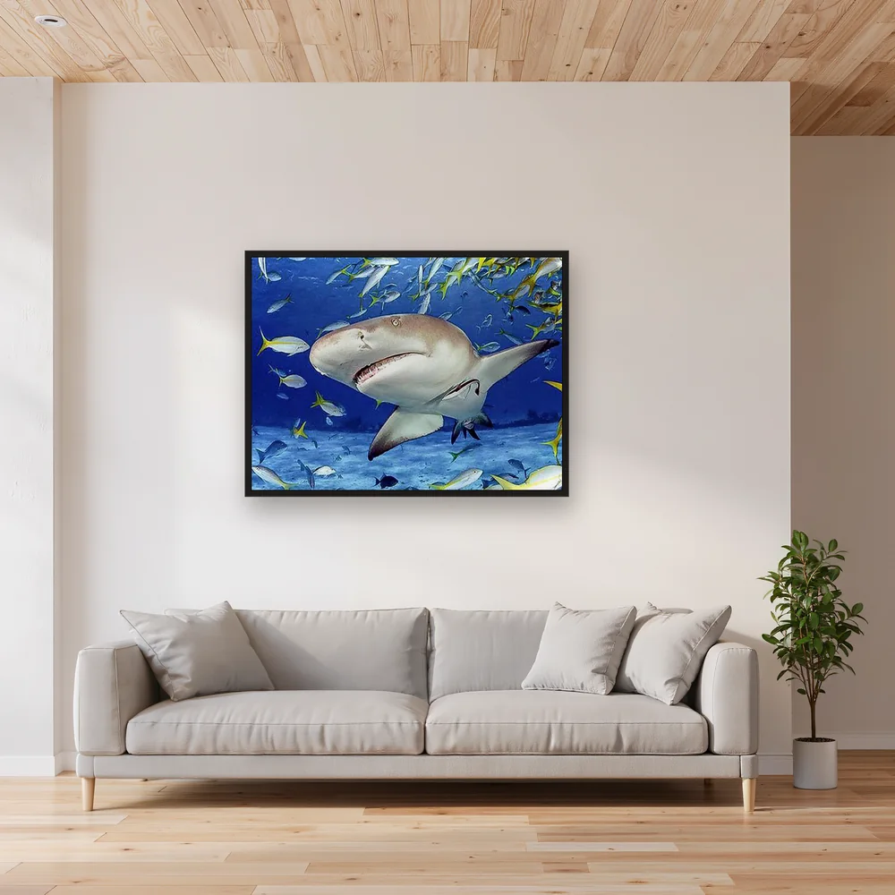 Shark and School of Fish – Living room