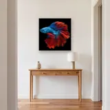 Blue and Red Fighting Fish – Hallway