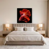 Intense Red Fighting Fish – Bedroom
