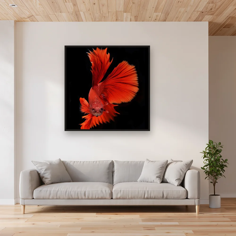 Blazing Fighting Fish – Living room