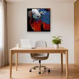 Tricolor Fighting Fish – Office