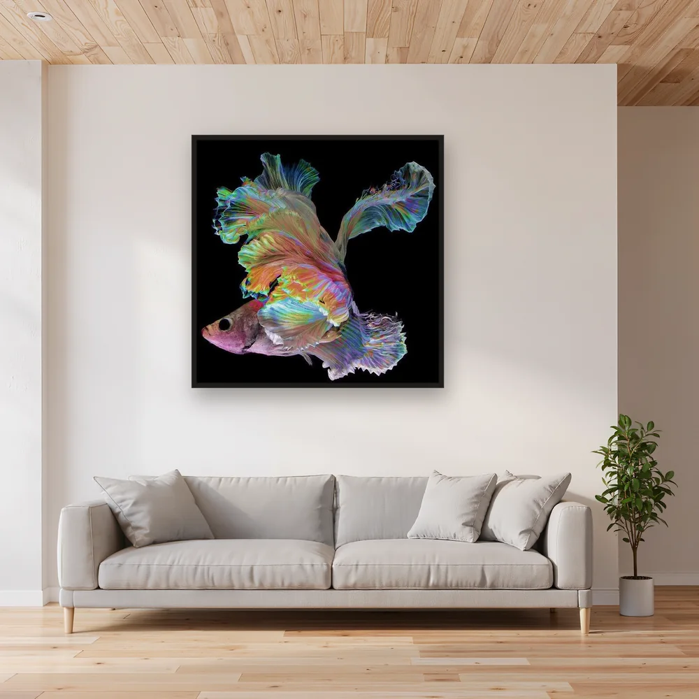 Galactic Fighting Fish – Living room