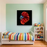 Pesce combattente rosso e blu – Cameretta