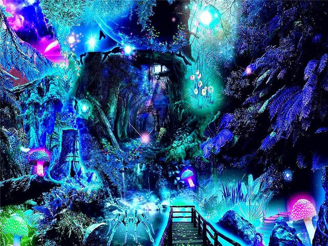 Aperçu du résultat final du diamond painting Paysage : La Forêt Bioluminescente.