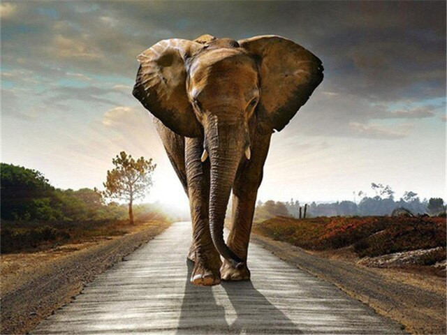 Aperçu du résultat final du diamond painting Éléphant sur la Route du Soleil.