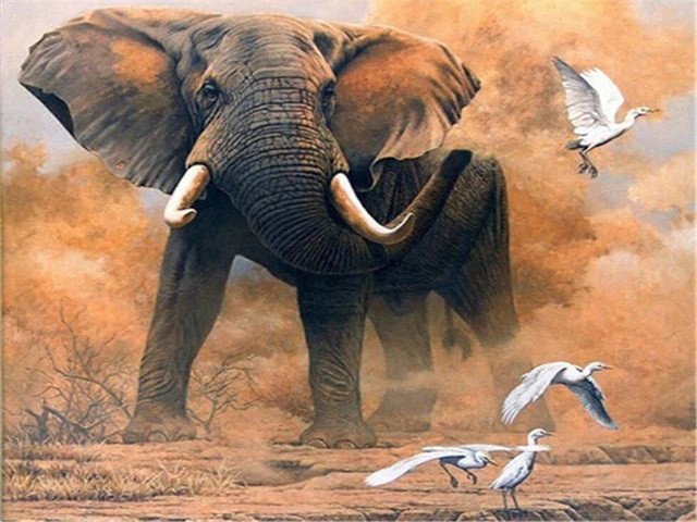 Aperçu du résultat final du diamond painting Éléphant, Colosse de la Savane.