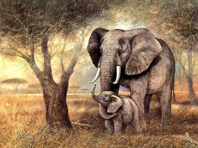 Aperçu du résultat final du diamond painting Maman Éléphant et son Petit.