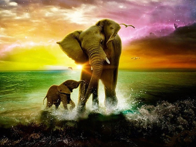 Aperçu du résultat final du diamond painting Éléphants, Rêve au Crépuscule.