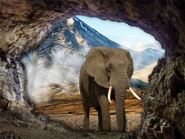 Aperçu du résultat final du diamond painting Éléphant, Gardien de la Montagne.