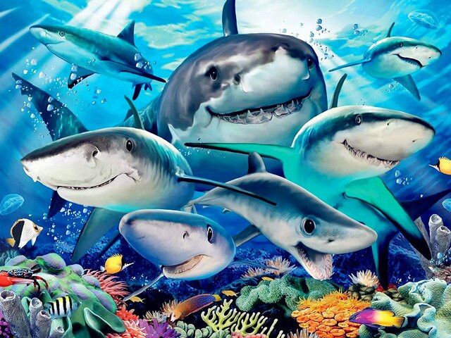 Aperçu du résultat final du diamond painting La famiglia degli squali sorridenti.