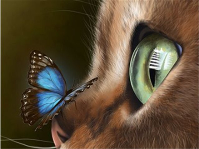 Anteprima del risultato finale del diamond painting Cat: The Reflection of the Butterfly.