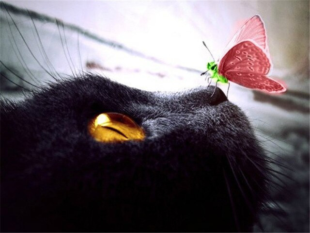 Anteprima del risultato finale del diamond painting Cat: The Scarlet Butterfly.