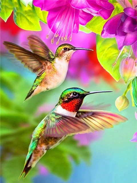 Aperçu du résultat final du diamond painting Le Vol des Colibris.