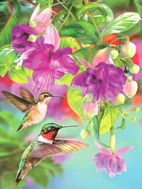 Aperçu du résultat final du diamond painting Colibris et Fuchsias.