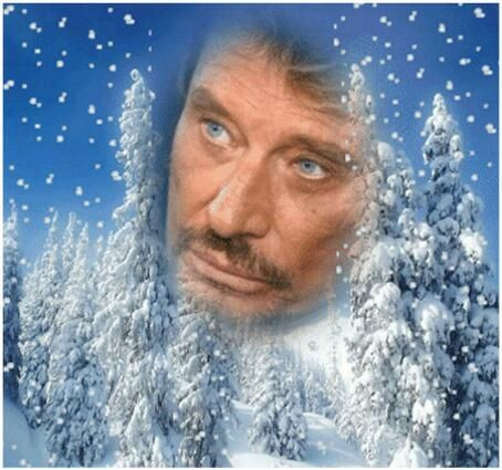 Anteprima del risultato finale del dipinto a diamante Johnny Hallyday: The Winter of the Idol.