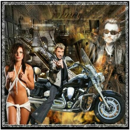 Anteprima del risultato finale del dipinto a diamante Johnny Hallyday: Rock'n'Roll Attitude.