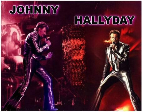 Anteprima del risultato finale del dipinto a diamante Johnny Hallyday: Scene di concerto.