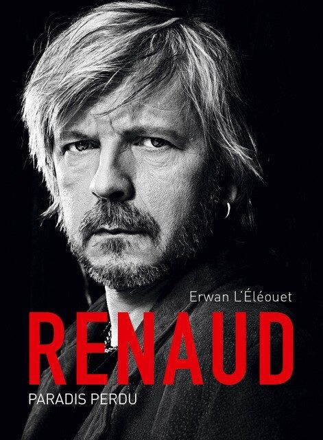 Aperçu du résultat final du diamond painting Chanteur Renaud Série G.