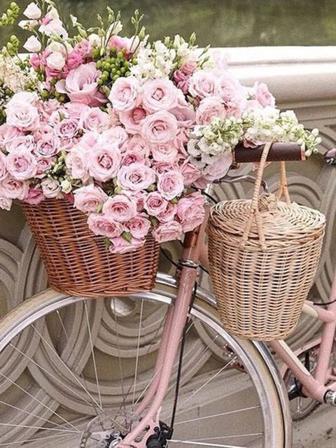 Aperçu du résultat final du diamond painting Fiori e bicicletta.