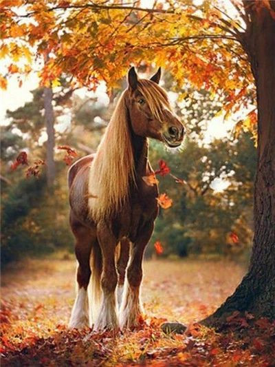 Anteprima del risultato finale del dipinto a diamante Cavallo: Splendore autunnale.