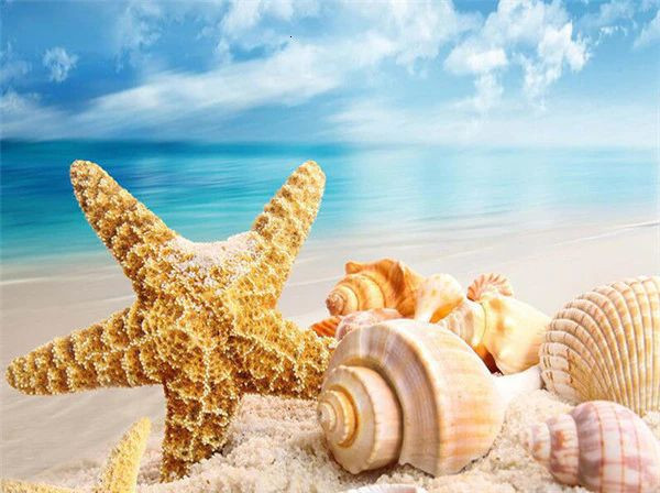 Aperçu du résultat final du diamond painting Beach Shell Series D.
