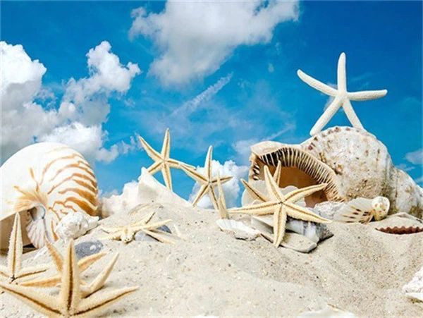 Aperçu du résultat final du diamond painting Beach Shell Series E.