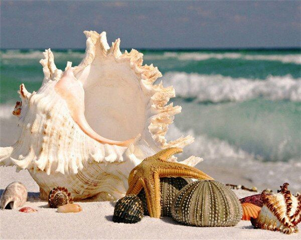 Aperçu du résultat final du diamond painting Beach Shell Series F.