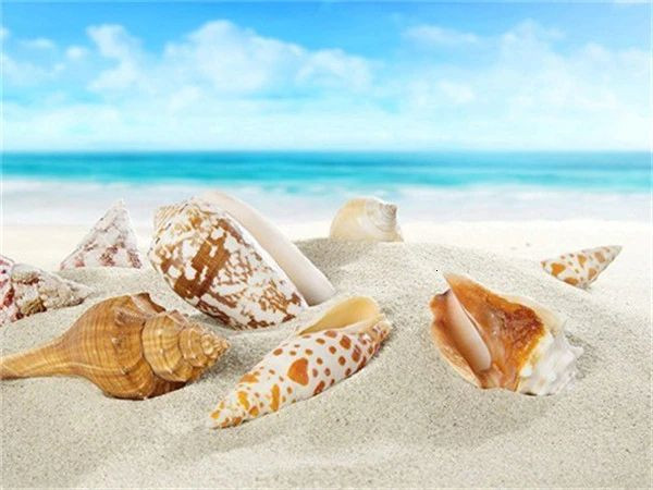 Aperçu du résultat final du diamond painting Beach Shell Series G.